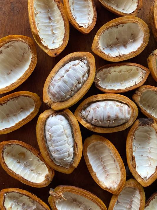 EL PODER DEL CACAO EN TU BIENESTAR